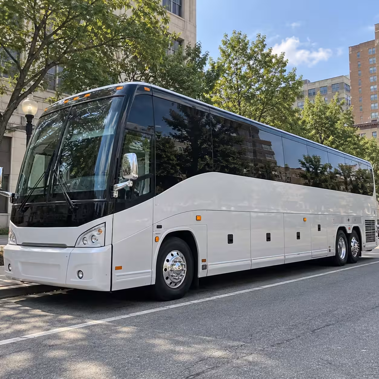 clinton township charter bus rentals to lions and tigers games