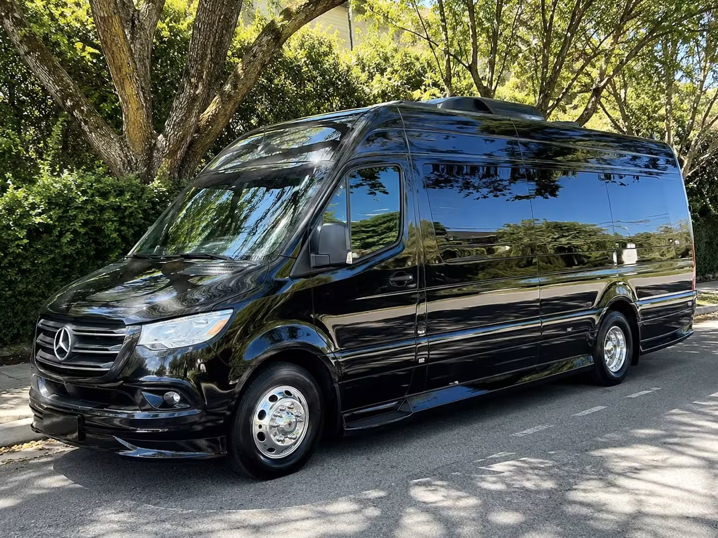 sprinter van with driver